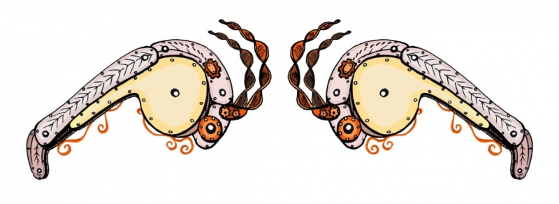 4th Polish Zebrafish Society Meeting